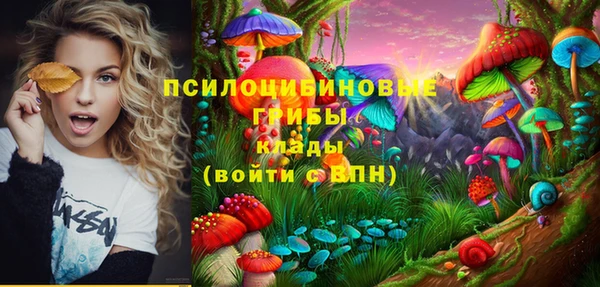 МДПВ Коряжма