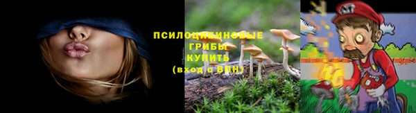 PSILOCYBIN Козельск