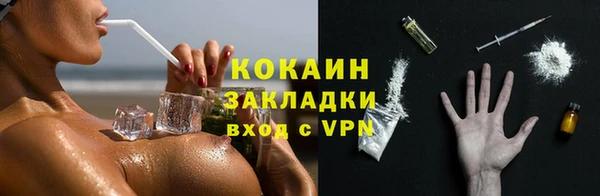 ешки Корсаков