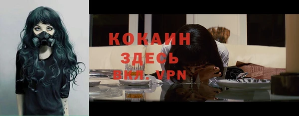 ешки Корсаков