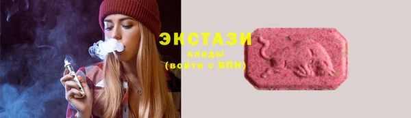 хмурый Козловка