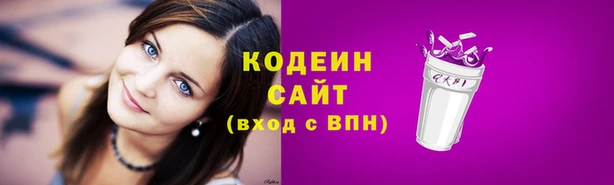гашик Кодинск