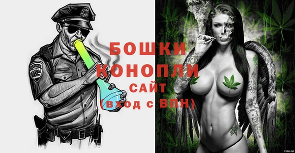 хмурый Козловка