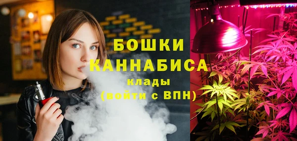 PSILOCYBIN Фёдоровский
