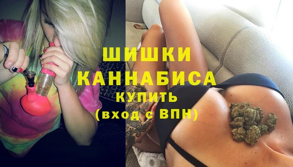 PSILOCYBIN Козельск