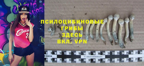 PSILOCYBIN Козельск