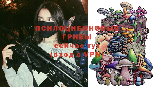 ешки Корсаков