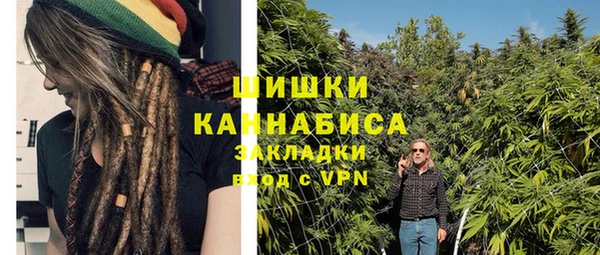 гашик Кодинск
