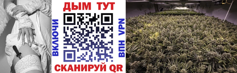 МАРИХУАНА Amnesia  где купить   Куртамыш 